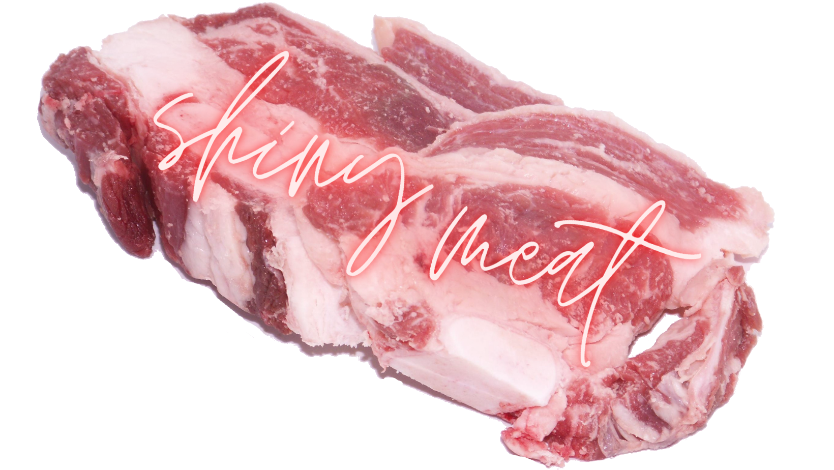 SHINY MEAT